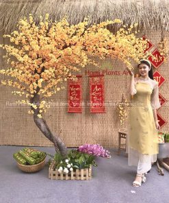 Cây mai giả cao 2m5 trang trí tết
