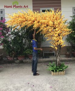 Cây hoa mai giả cao 3m tán nghiêng