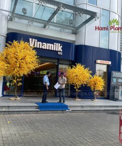Thi công, trang trí tết tại trụ sở Vinamilk